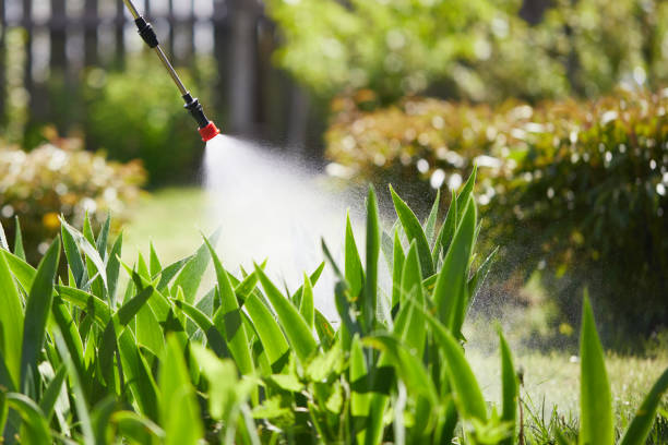 Tamper-Resistant Bait Stations for Rodents in Crockett