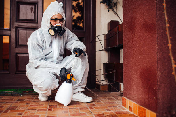 Attic and Crawl Space Rodent Treatment in Crockett